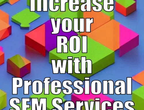 Increase your ROI with Professional SEM Services